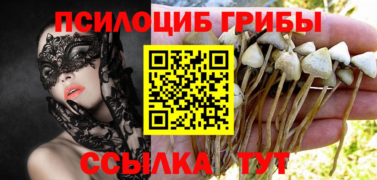 Псилоцибиновые грибы MAGIC MUSHROOMS Златоуст