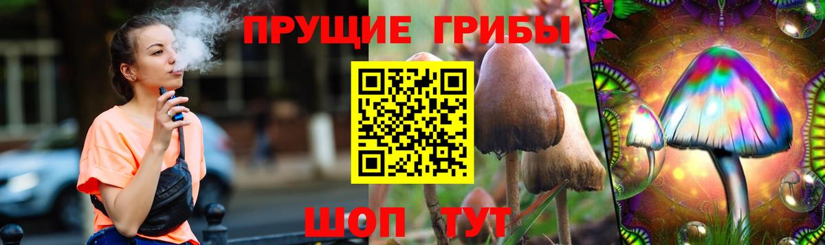 Златоуст  Галлюциногенные грибы прущие грибы  Вход с VPN 
